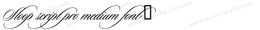 Sloop script pro medium font字体转换